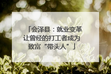 会泽县：就业变革让曾经的打工者成为致富“带头人”