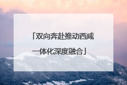 双向奔赴推动西咸一体化深度融合