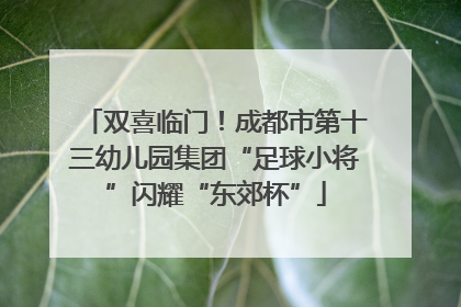 双喜临门！成都市第十三幼儿园集团“足球小将”闪耀“东郊杯”
