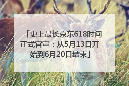 史上最长京东618时间正式官宣：从5月13日开始到6月20日结束