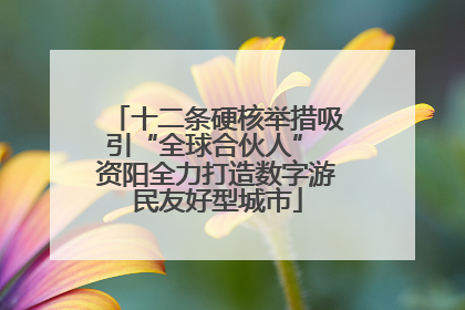 十二条硬核举措吸引“全球合伙人” 资阳全力打造数字游民友好型城市