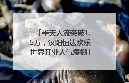 半天人流突破1.5万，汉阳恒达欢乐世界开业人气爆棚