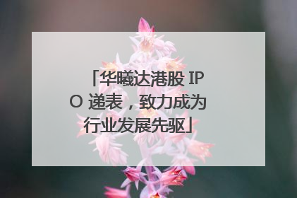 华曦达港股 IPO 递表，致力成为行业发展先驱