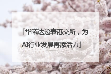 华曦达递表港交所，为AI行业发展再添活力