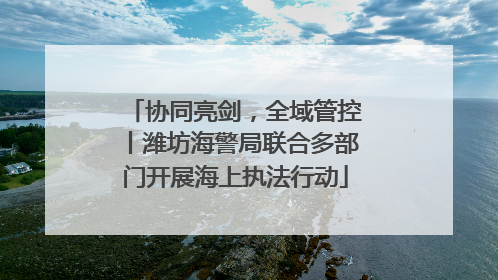 协同亮剑，全域管控丨潍坊海警局联合多部门开展海上执法行动