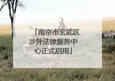 南京市玄武区涉外法律服务中心正式启用