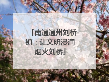 南通通州刘桥镇：让文明浸润烟火刘桥