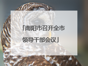 南阳市召开全市领导干部会议