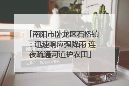 南阳市卧龙区石桥镇：迅速响应强降雨 连夜疏通河道护农田