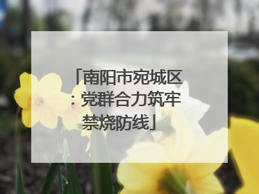 南阳市宛城区：党群合力筑牢禁烧防线