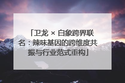 卫龙 × 白象跨界联名：辣味基因的跨维度共振与行业范式重构