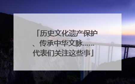 历史文化遗产保护、传承中华文脉……代表们关注这些事