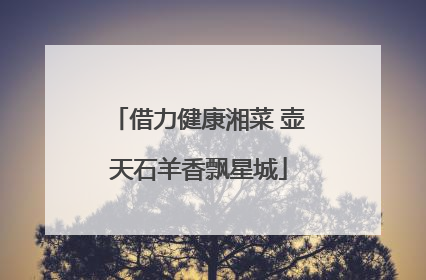 借力健康湘菜 壶天石羊香飘星城