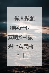 做大做强特色产业 奏响乡村振兴“富民曲”