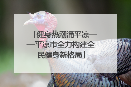 健身热潮涌平凉——平凉市全力构建全民健身新格局