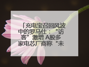 充电宝召回风波中的罗马仕：“访客”激增 A股多家电芯厂商称“未供货”