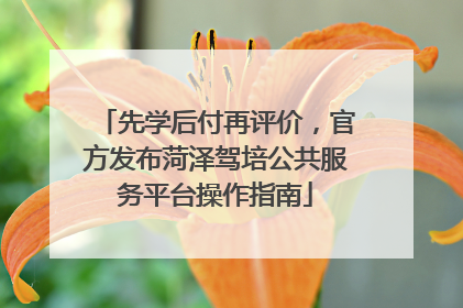 先学后付再评价，官方发布菏泽驾培公共服务平台操作指南