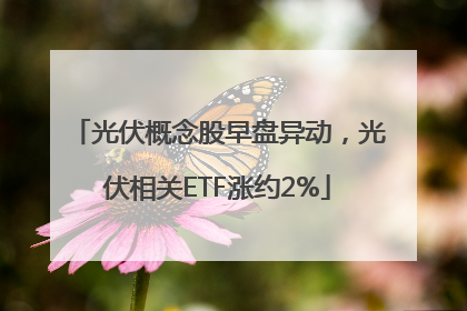 光伏概念股早盘异动，光伏相关ETF涨约2%