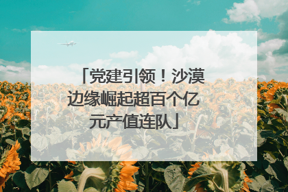 党建引领！沙漠边缘崛起超百个亿元产值连队