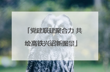 党建联建聚合力 共绘高铁兴诏新图景