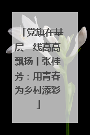 党旗在基层一线高高飘扬丨张桂芳：用青春为乡村添彩
