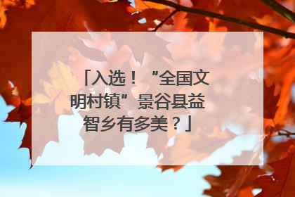 入选！“全国文明村镇”景谷县益智乡有多美？