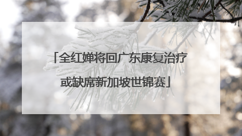 全红婵将回广东康复治疗 或缺席新加坡世锦赛
