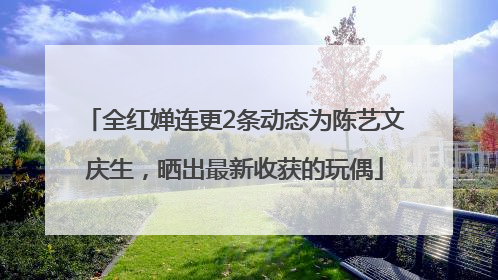 全红婵连更2条动态为陈艺文庆生，晒出最新收获的玩偶