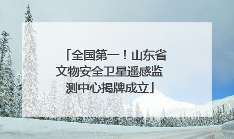 全国第一！山东省文物安全卫星遥感监测中心揭牌成立