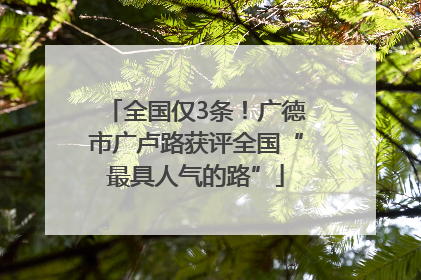 全国仅3条！广德市广卢路获评全国“最具人气的路”