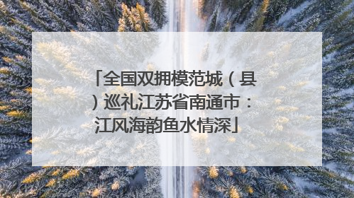全国双拥模范城（县）巡礼江苏省南通市：江风海韵鱼水情深