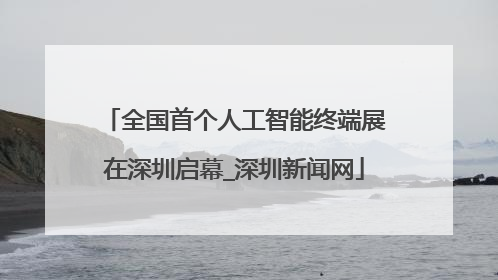 全国首个人工智能终端展在深圳启幕_深圳新闻网
