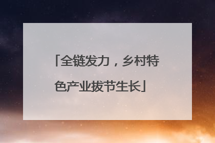 全链发力，乡村特色产业拔节生长