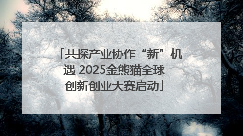 共探产业协作“新”机遇 2025金熊猫全球创新创业大赛启动
