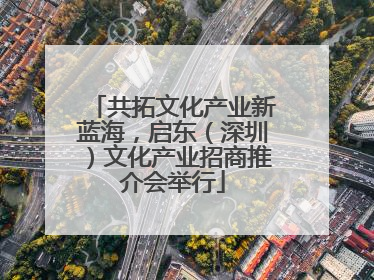 共拓文化产业新蓝海，启东（深圳）文化产业招商推介会举行