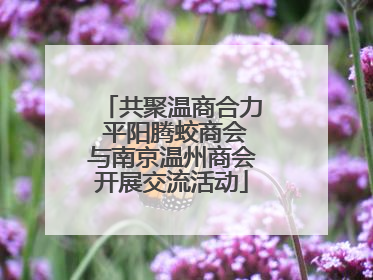 共聚温商合力 平阳腾蛟商会与南京温州商会开展交流活动