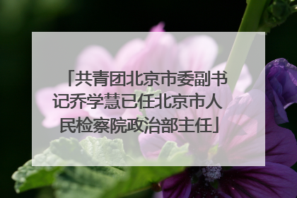共青团北京市委副书记乔学慧已任北京市人民检察院政治部主任