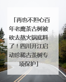 再也不担心百年老鹰茶古树被砍去熬火锅底料了！四川开江启动珍稀古茶树专项保护