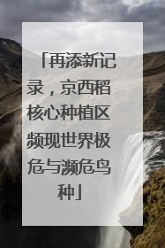 再添新记录，京西稻核心种植区频现世界极危与濒危鸟种