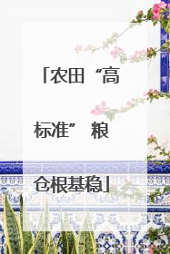 农田“高标准” 粮仓根基稳