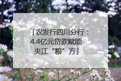 农发行四川分行：4.4亿元贷款赋能夹江“粮”方