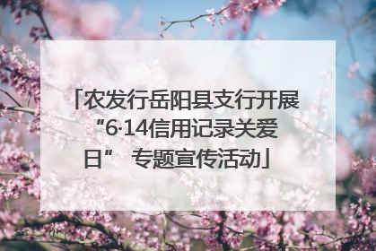 农发行岳阳县支行开展“6·14信用记录关爱日” 专题宣传活动