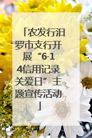 农发行汨罗市支行开展“6·14信用记录关爱日”主题宣传活动