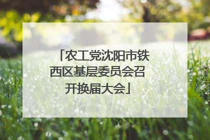 农工党沈阳市铁西区基层委员会召开换届大会