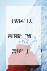 农民闫大雷的新“致富经”
