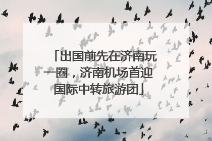 出国前先在济南玩一圈，济南机场首迎国际中转旅游团