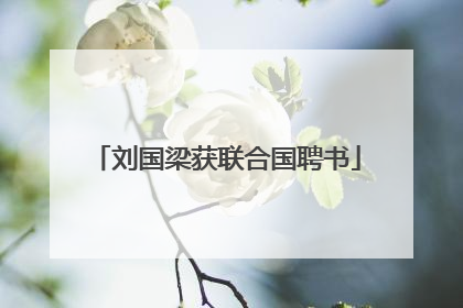 刘国梁获联合国聘书