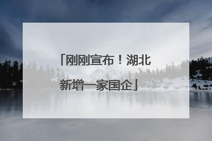 刚刚宣布！湖北新增一家国企