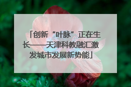 创新“叶脉”正在生长——天津科教融汇激发城市发展新势能