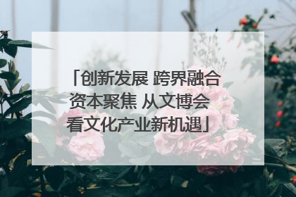 创新发展 跨界融合 资本聚焦 从文博会看文化产业新机遇